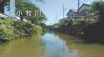 2011J04_komaki.jpg